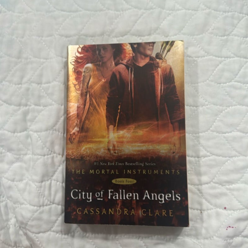 City of Fallen Angels