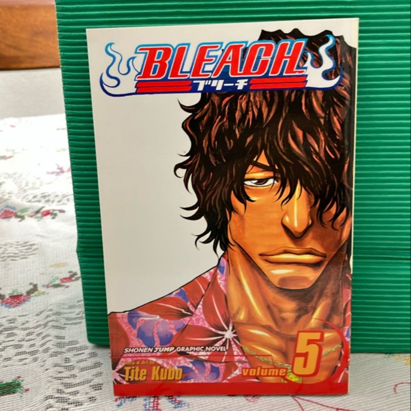 Bleach, Vol. 5