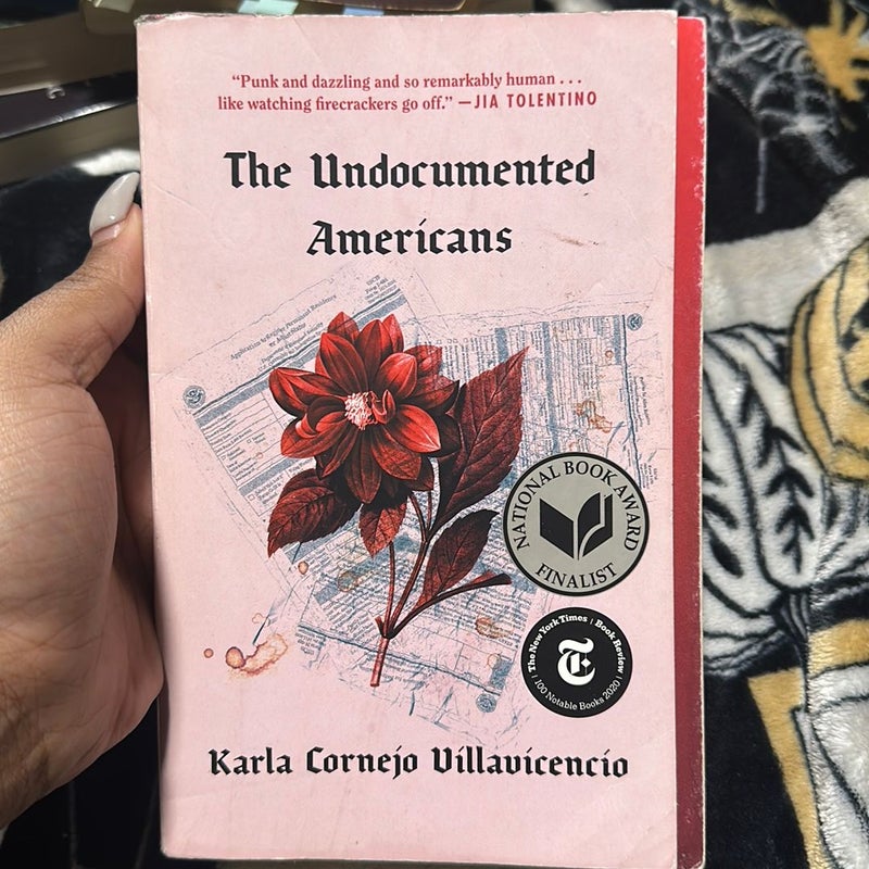 The Undocumented Americans