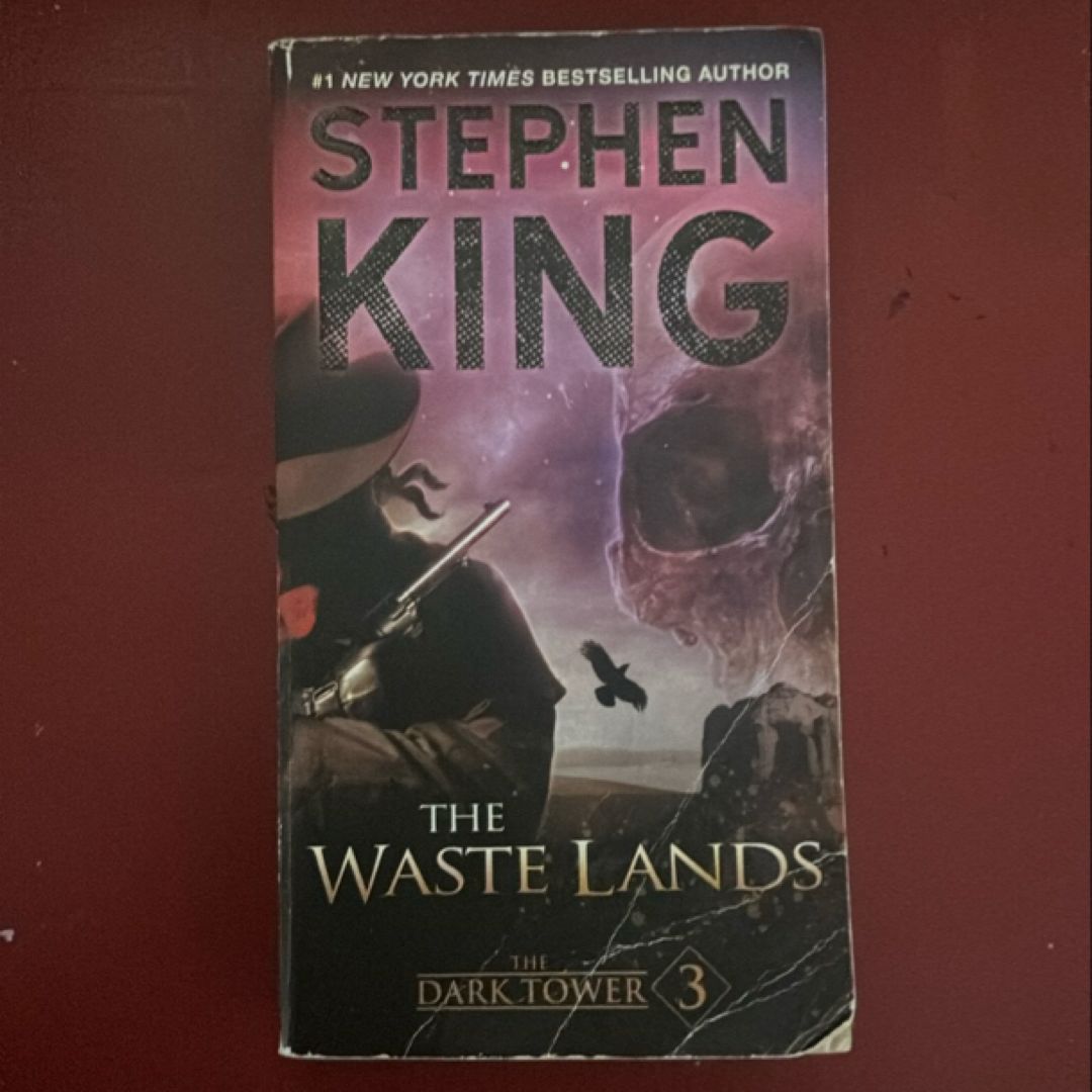 The Dark Tower III