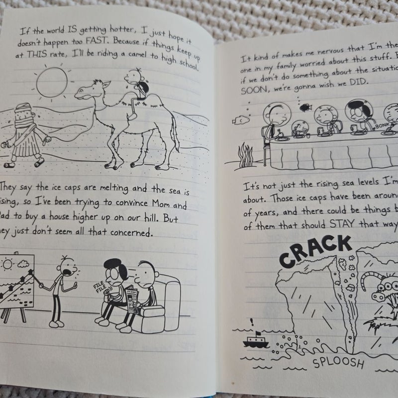 Diary of a Wimpy Kid #13: Meltdown