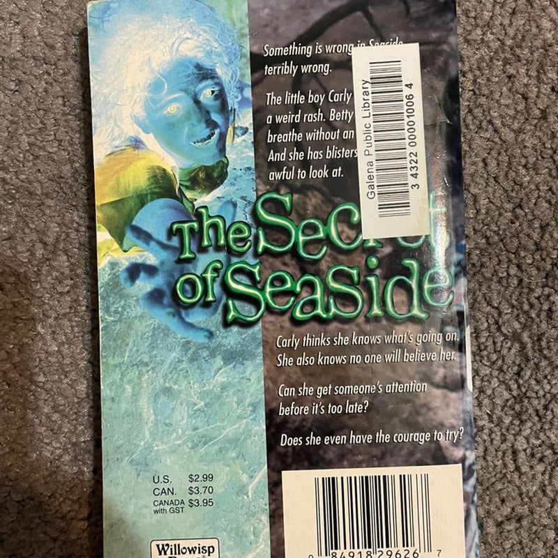 The Secret of Seaside