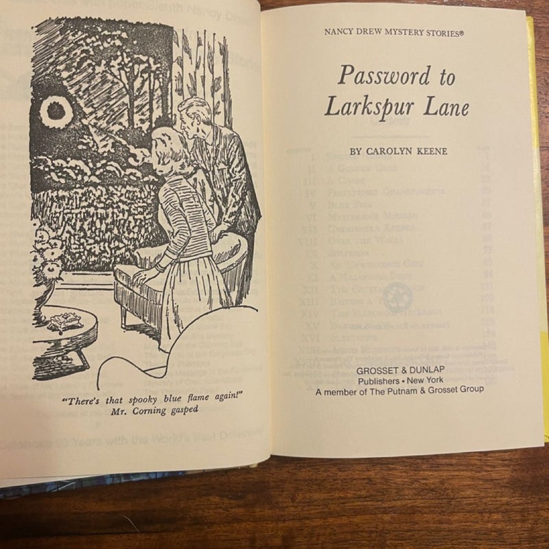 Nancy Drew 10: Password to Larkspur Lane