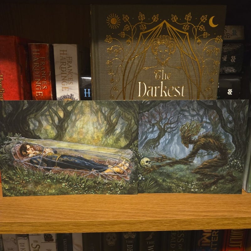 The Darkest Part of the Forest Litjoy Edition