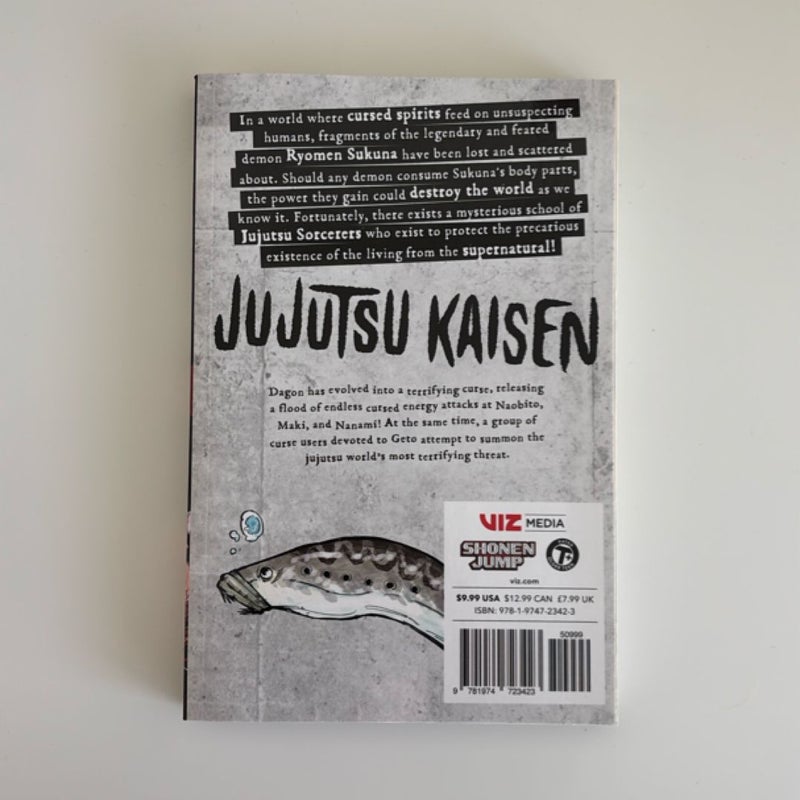 Jujutsu Kaisen, Vol. 13