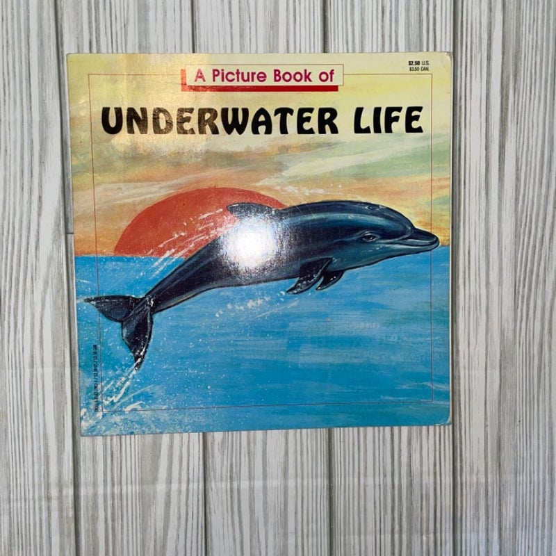 A Picture Book of Underwater Life
