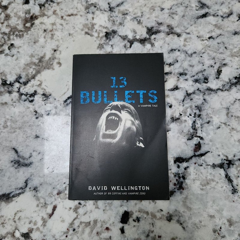 13 Bullets