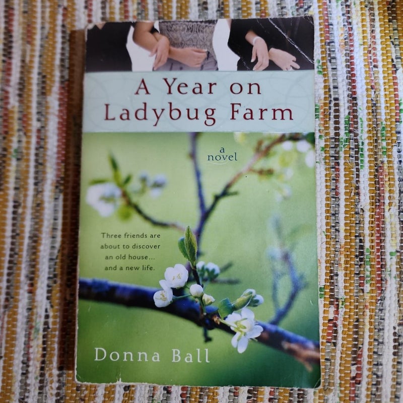 A Year on Ladybug Farm