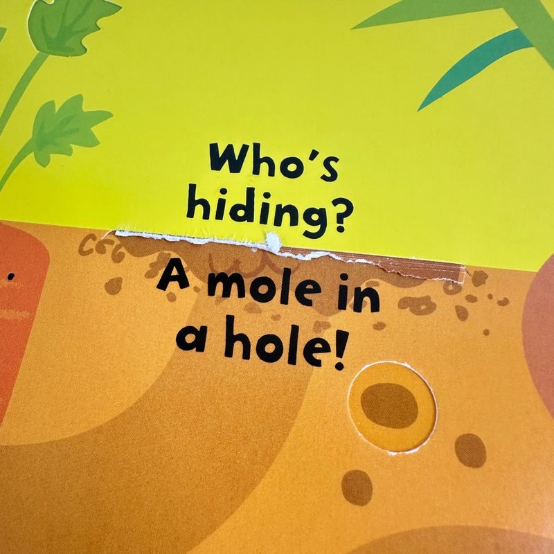 Usborne Baby's Very First Fingertrail Play