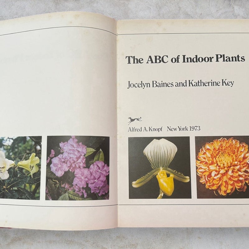The ABC of Indoor Plants