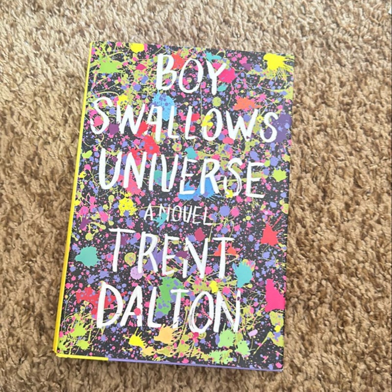 Boy Swallows Universe