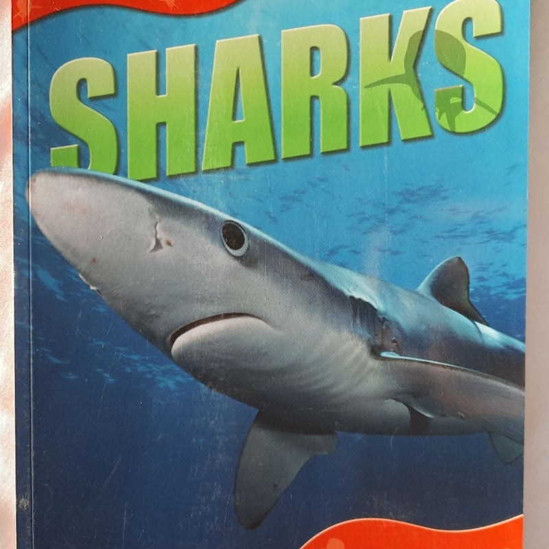 Animal Lives: Sharks by QEB/Teacher Created Resources (New, 2006, PBk, 32 pgs)