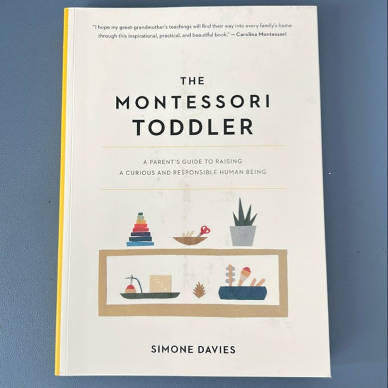 The Montessori Toddler