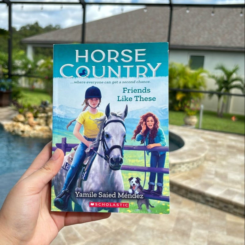 Friends Like These (Horse Country #2)