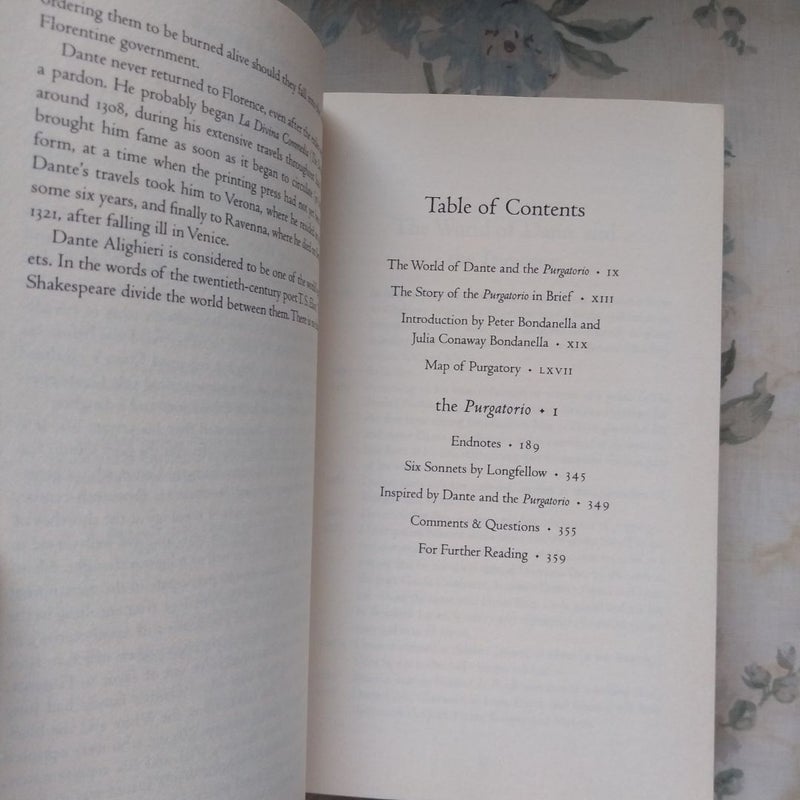 The Purgatorio