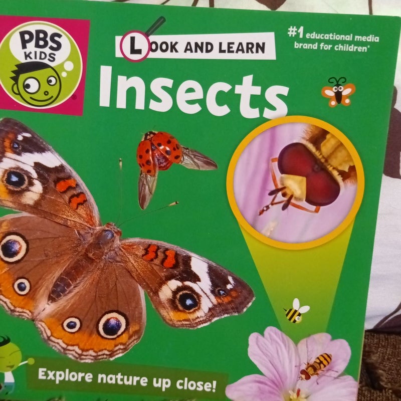 Look & Learn Insects