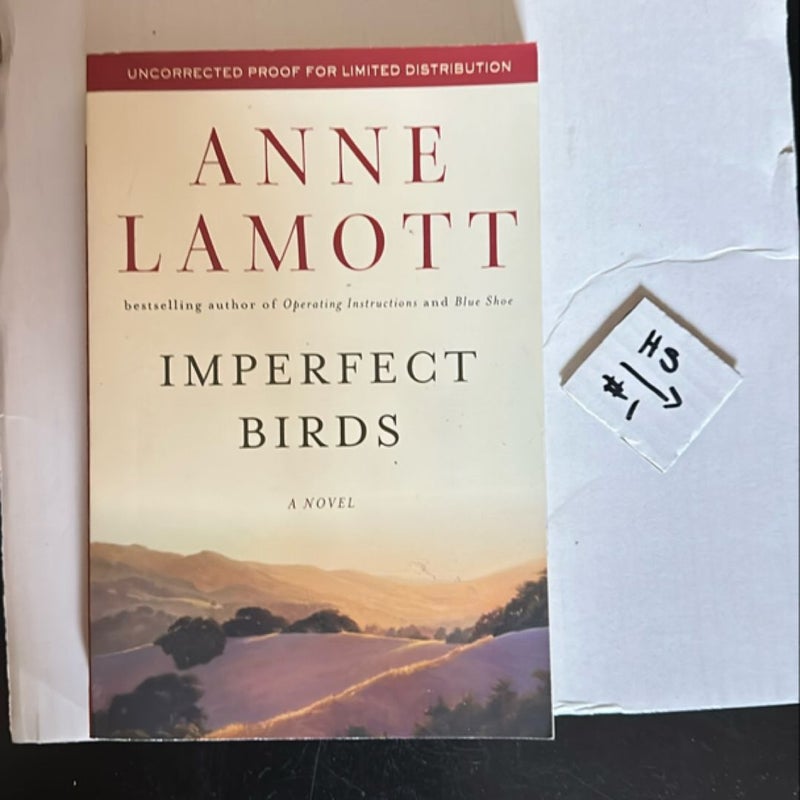Imperfect Birds