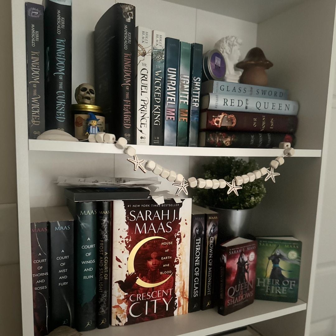 Callie’s book corner