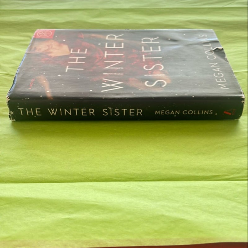 The Winter Sister