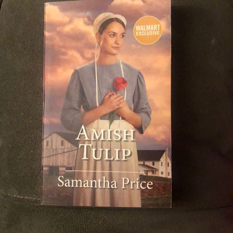 Amish Tulip 