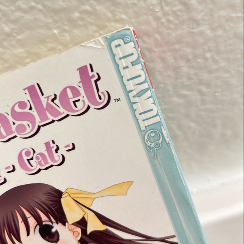 Fruits Basket fan book and friends 