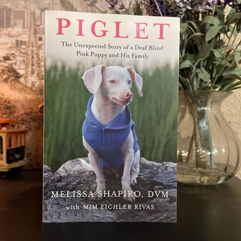 Piglet