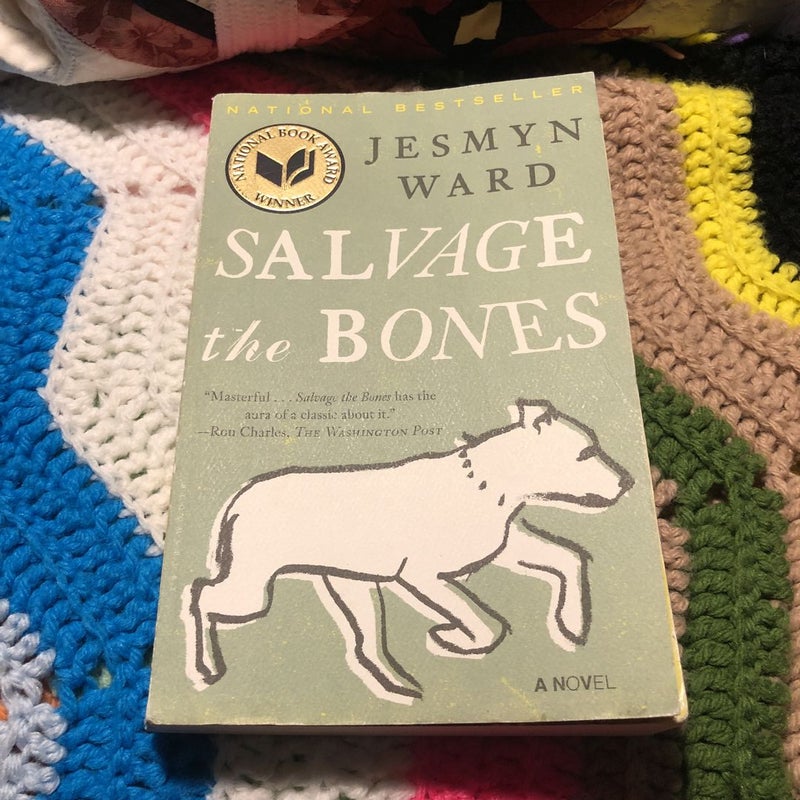 Salvage the Bones
