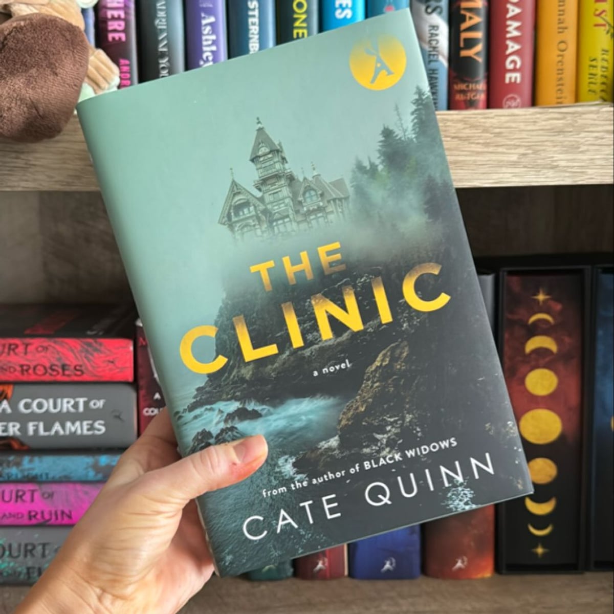 The Clinic by Cate Quinn