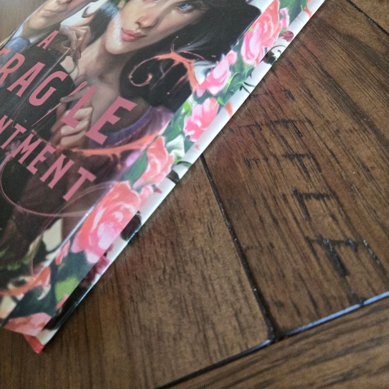 A Fragile Enchantment, Fairyloot 