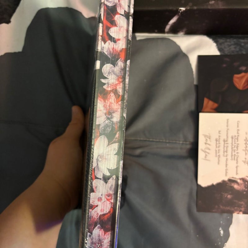 The Bydnery book box