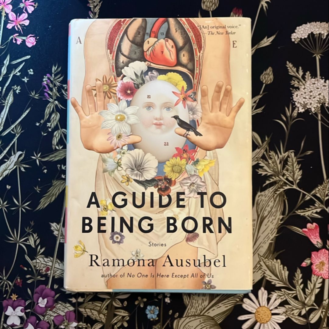 A Guide to Being Born