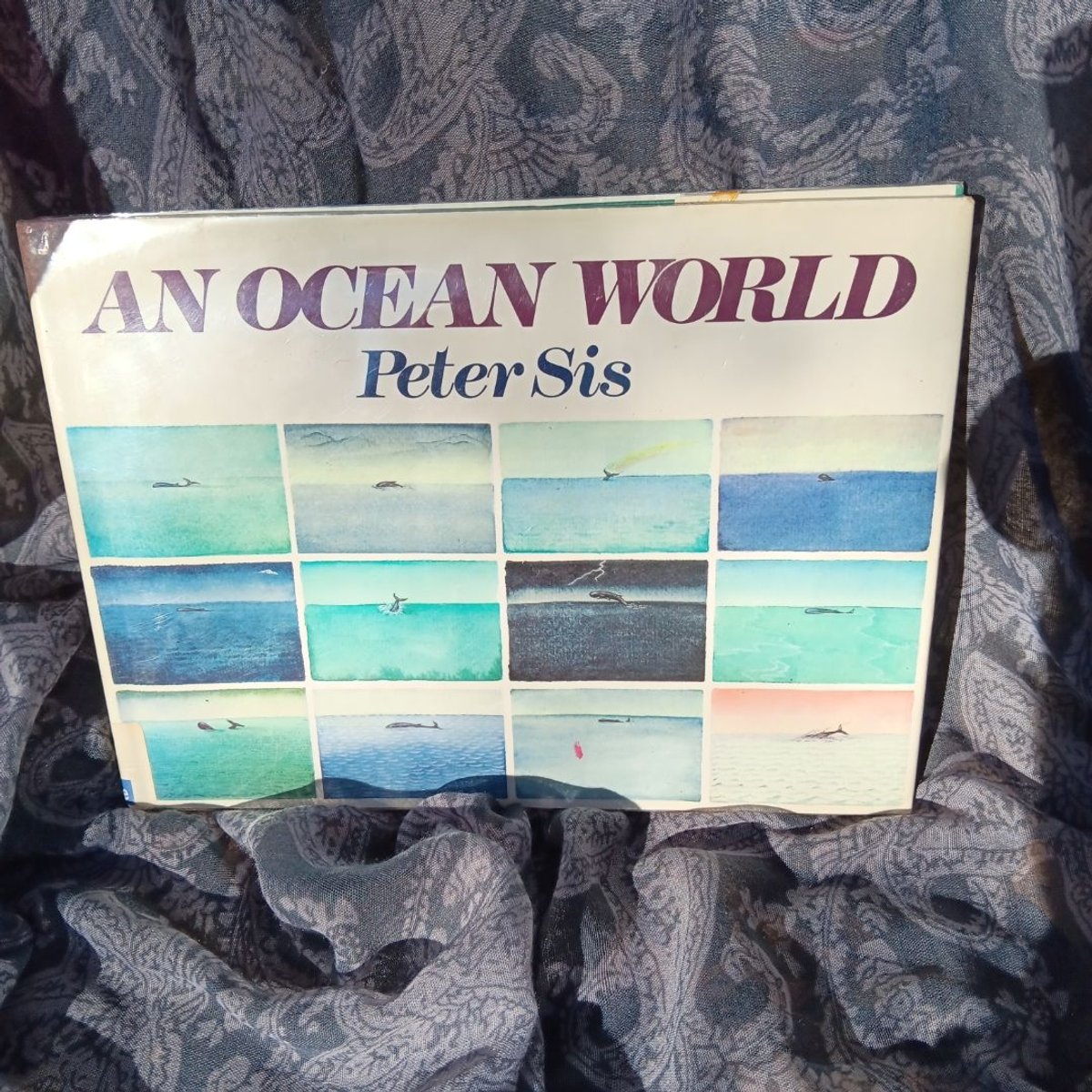 An Ocean World by Peter Sís