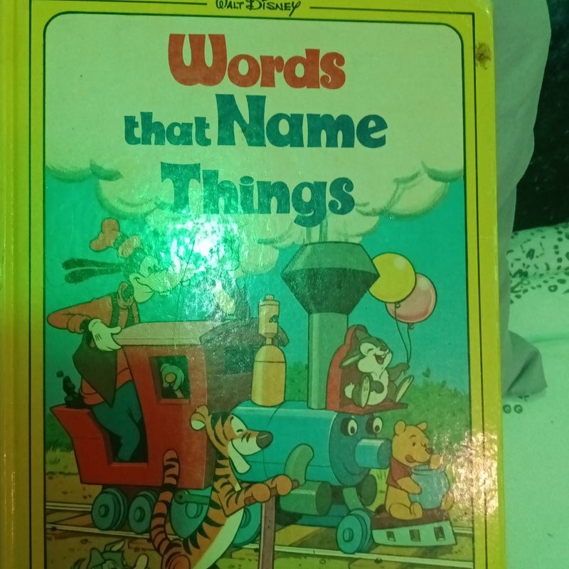 Words that NAME THINGS
