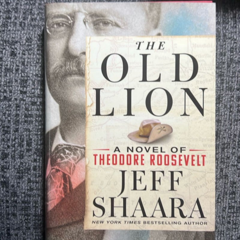 The Old Lion