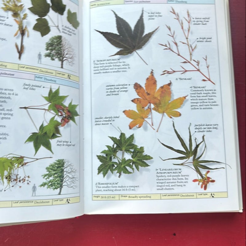 Trees