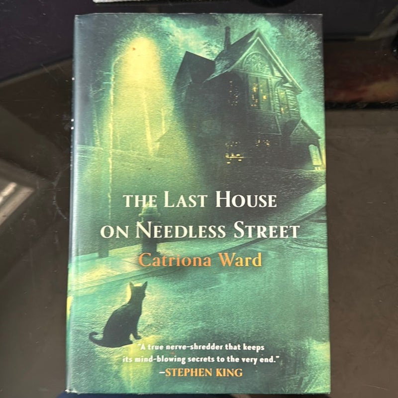 The Last House on Needless Street