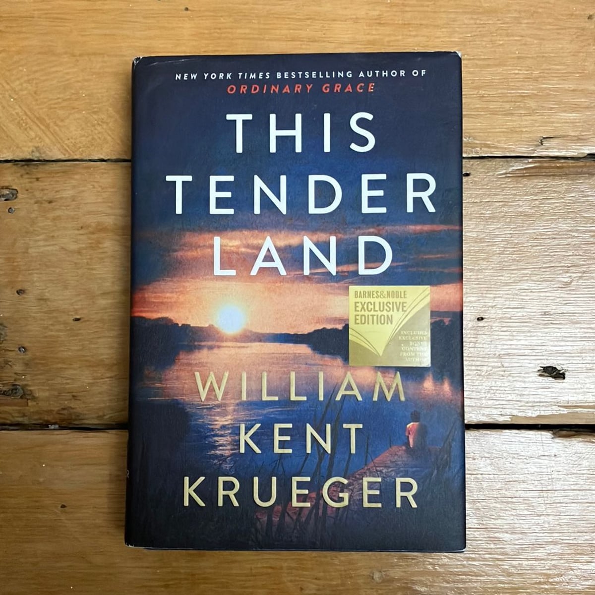 This Tender Land by William Kent Krueger, Hardcover | Pangobooks