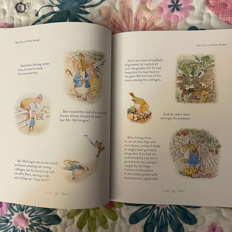 A Beatrix Potter Treasury