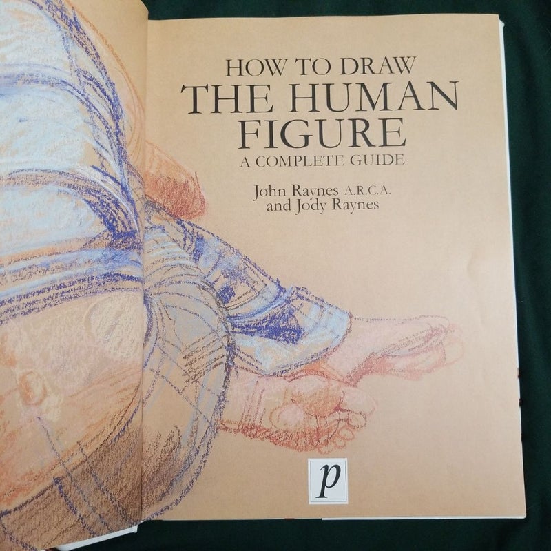 How to Draw a Human Figure