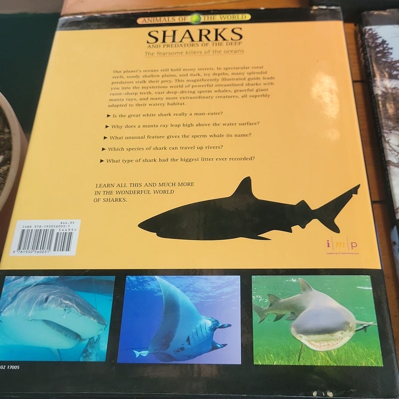Sharks, big cats, bears