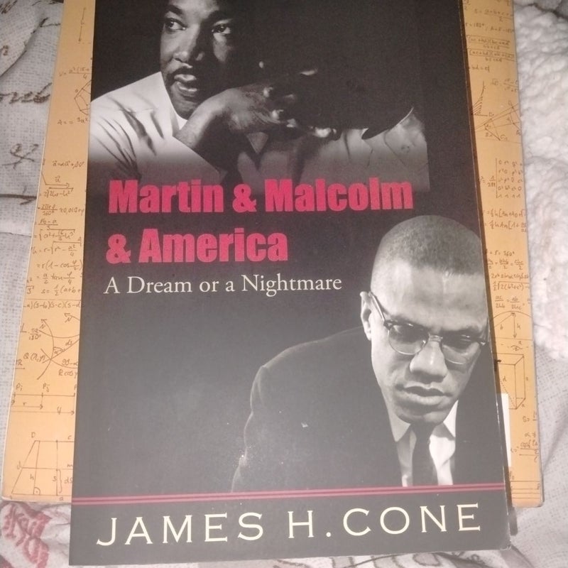 Martin and Malcolm and America