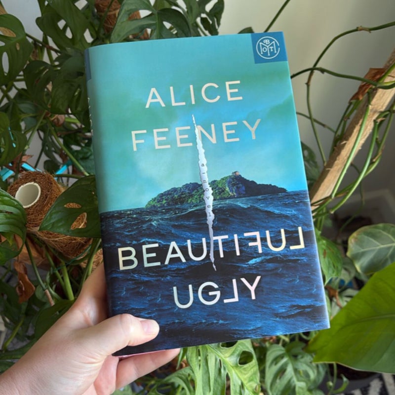 Beautiful Ugly
