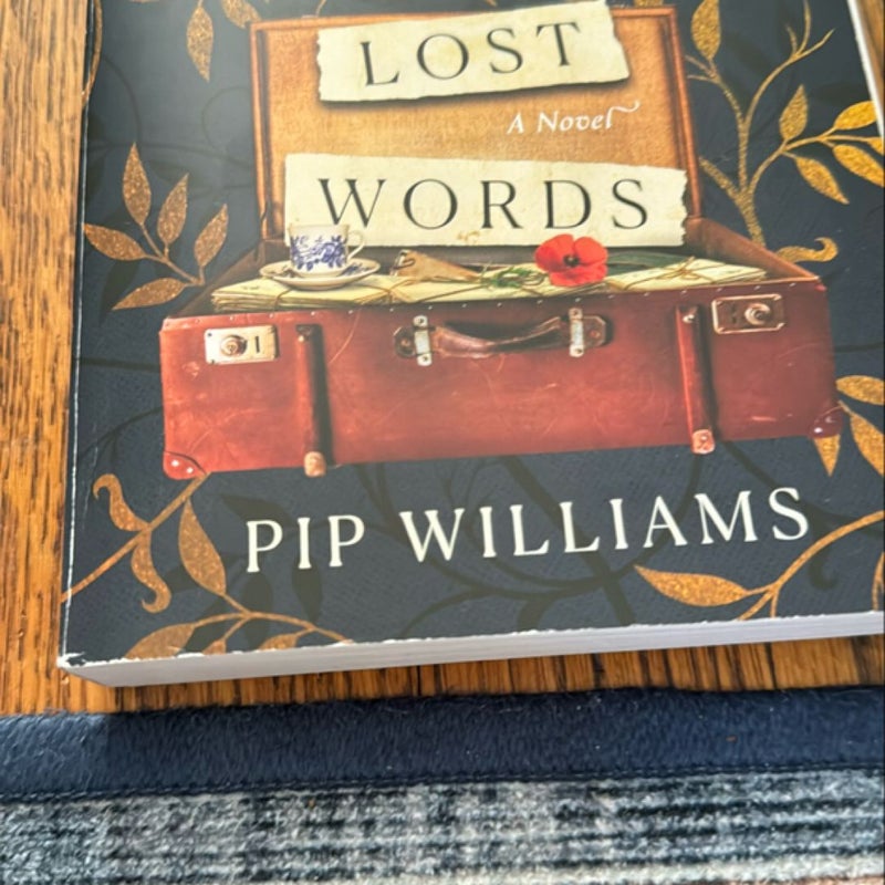 The Dictionary of Lost Words