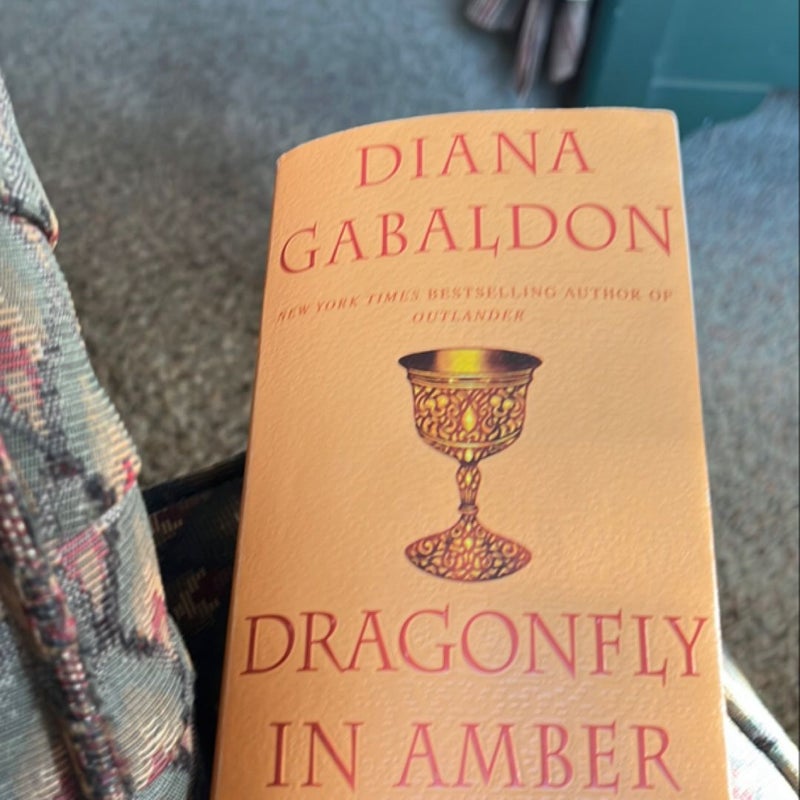 Dragonfly in Amber