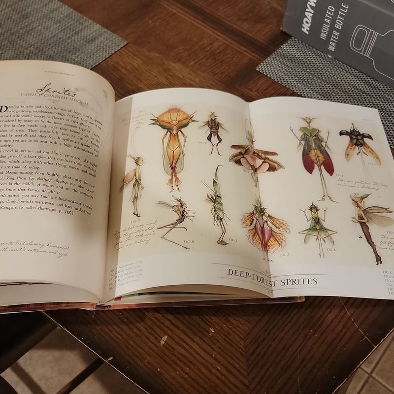 Arthur Spiderwick's Field Guide to the Fantastical World Around You