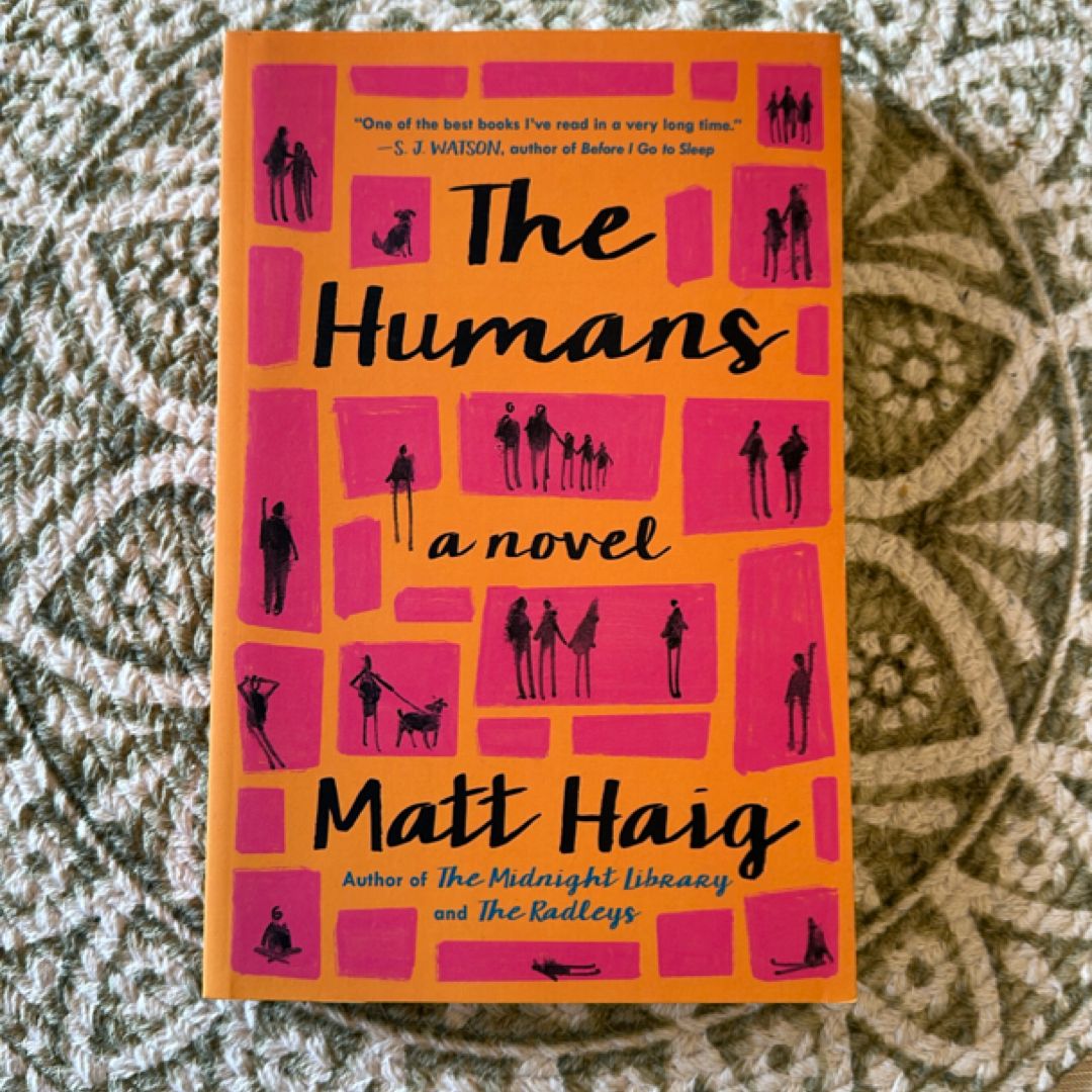 Sale image for 978c58e5-06b3-4fd3-88aa-a6f16fb635c2-NYgmyvbFCpPysy5pGssEiyGDX903