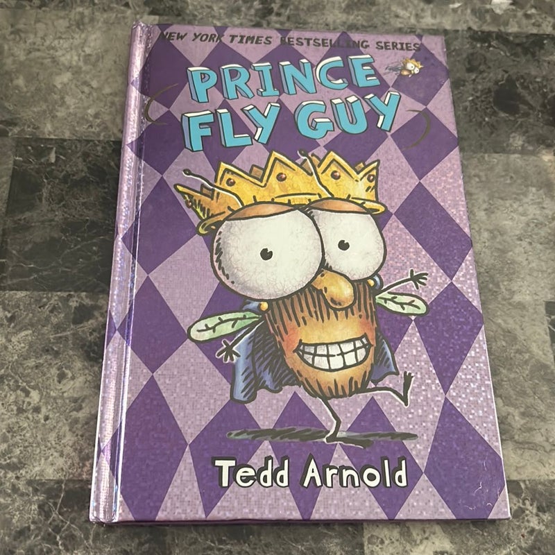 Fly Guy Book Lot
