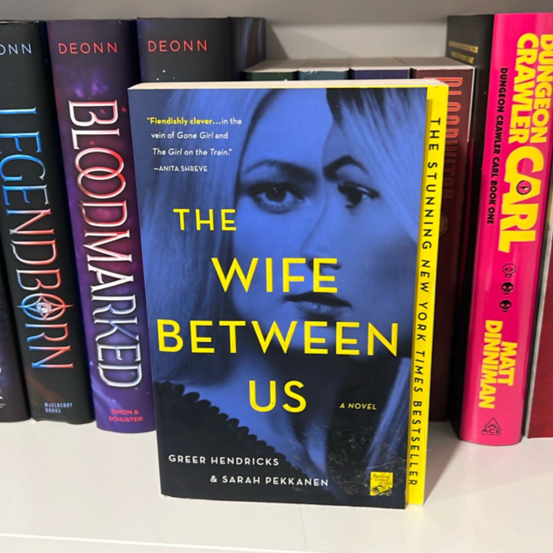 The Wife Between Us