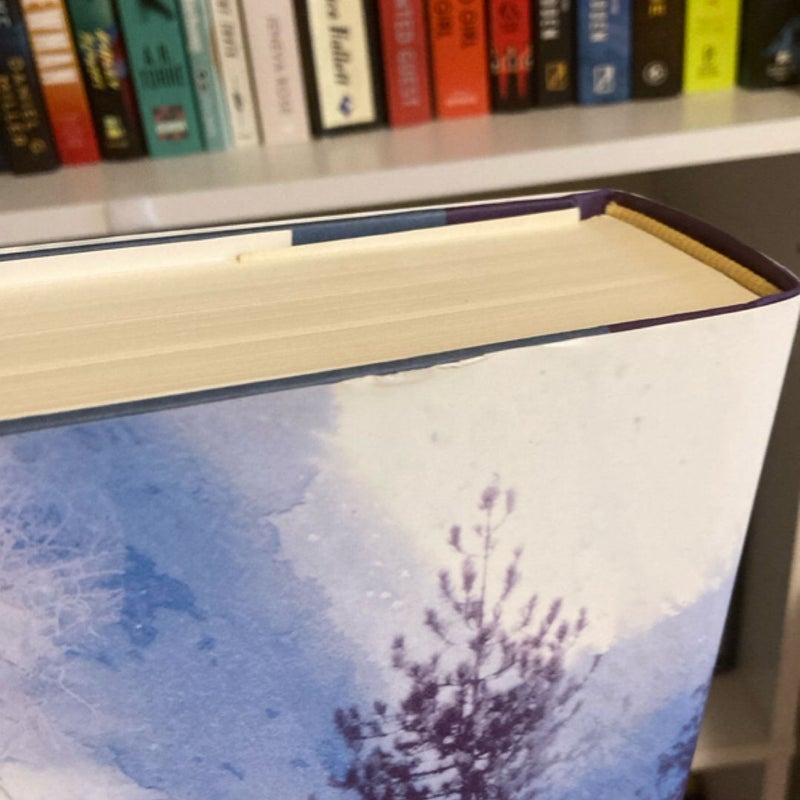 Dreamcatcher 1st edition 