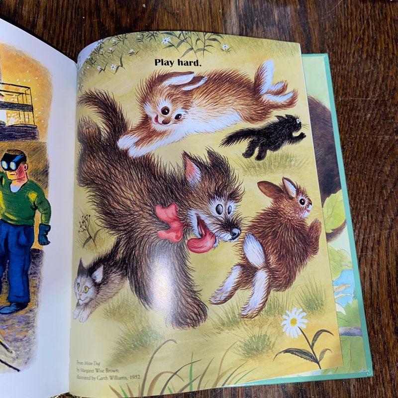 Everything I Need to Know I Learned from a Little Golden Book